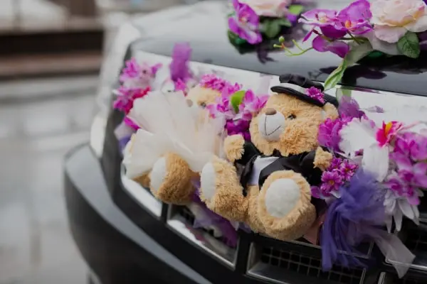 Wedding Transfer